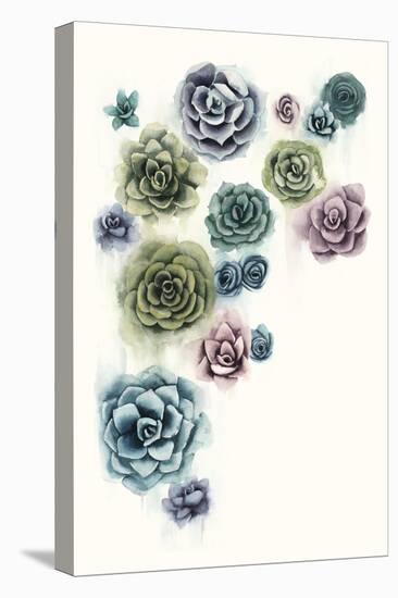 Succulent Cluster II-Grace Popp-Stretched Canvas