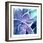 Succulent Dawn 2-Debbie Pearson-Framed Art Print