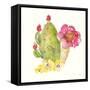 Succulent Desert II-Kristy Rice-Framed Stretched Canvas