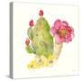 Succulent Desert II-Kristy Rice-Stretched Canvas