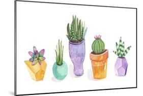 Succulent Display II-Rebekah Ewer-Mounted Art Print