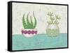 Succulent Duo I-Chariklia Zarris-Framed Stretched Canvas