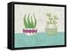 Succulent Duo I-Chariklia Zarris-Framed Stretched Canvas