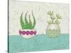 Succulent Duo I-Chariklia Zarris-Stretched Canvas