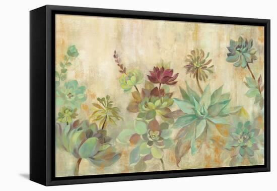 Succulent Garden-Silvia Vassileva-Framed Stretched Canvas