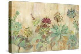 Succulent Garden-Silvia Vassileva-Stretched Canvas