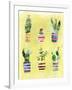 Succulent Garden-Summer Tali Hilty-Framed Giclee Print