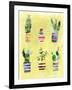 Succulent Garden-Summer Tali Hilty-Framed Giclee Print