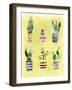 Succulent Garden-Summer Tali Hilty-Framed Giclee Print