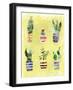 Succulent Garden-Summer Tali Hilty-Framed Giclee Print