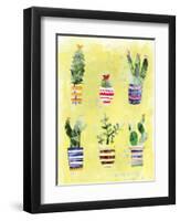 Succulent Garden-Summer Tali Hilty-Framed Giclee Print