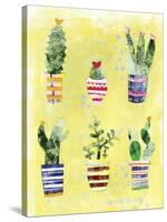 Succulent Garden-Summer Tali Hilty-Stretched Canvas