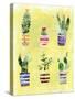 Succulent Garden-Summer Tali Hilty-Stretched Canvas