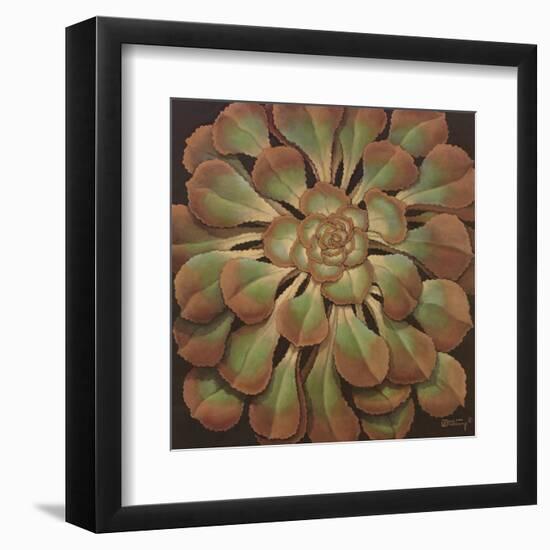 Succulent II-Janet Kruskamp-Framed Art Print