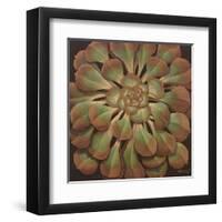 Succulent II-Janet Kruskamp-Framed Art Print