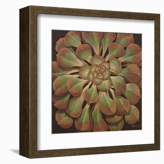 Succulent II-Janet Kruskamp-Framed Art Print