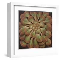 Succulent II-Janet Kruskamp-Framed Art Print