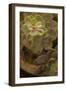 Succulent II-Karyn Millet-Framed Photographic Print