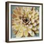 Succulent II-Lindsay Benson-Framed Art Print