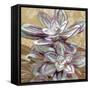 Succulent IV-Lindsay Benson-Framed Stretched Canvas