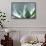 Succulent Leaves in Close-up-Paivi Vikstrom-Framed Stretched Canvas displayed on a wall