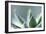 Succulent Leaves in Close-up-Paivi Vikstrom-Framed Photographic Print