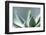 Succulent Leaves in Close-up-Paivi Vikstrom-Framed Photographic Print