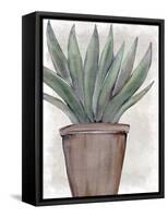 Succulent Plant 1-Kimberly Allen-Framed Stretched Canvas