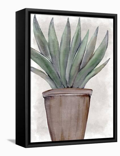Succulent Plant 1-Kimberly Allen-Framed Stretched Canvas