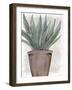 Succulent Plant 1-Kimberly Allen-Framed Art Print