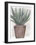 Succulent Plant 1-Kimberly Allen-Framed Art Print