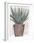 Succulent Plant 1-Kimberly Allen-Framed Art Print