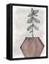 Succulent Plant 2-Kimberly Allen-Framed Stretched Canvas