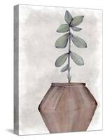 Succulent Plant 2-Kimberly Allen-Stretched Canvas