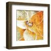 Succulent Plant-null-Framed Art Print