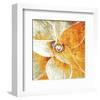 Succulent Plant-null-Framed Art Print