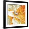 Succulent Plant-null-Framed Art Print