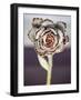 Succulent Plants Flower Cactus with Stem close Up-viteethumb studio-Framed Photographic Print