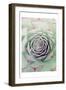 Succulent Red Tips-Urban Epiphany-Framed Art Print