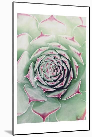 Succulent Red Tips-Urban Epiphany-Mounted Art Print