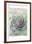 Succulent Red Tips-Urban Epiphany-Framed Art Print