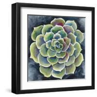 Succulent Rosette II-Chariklia Zarris-Framed Art Print