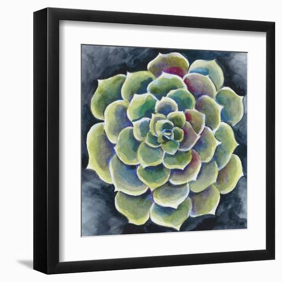 Succulent Rosette II-Chariklia Zarris-Framed Art Print