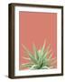 Succulent Simplicity I Coral Crop-Felicity Bradley-Framed Photographic Print