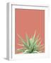 Succulent Simplicity I Coral Crop-Felicity Bradley-Framed Photographic Print