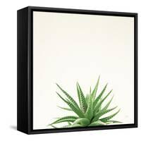 Succulent Simplicity I Neutral-Felicity Bradley-Framed Stretched Canvas