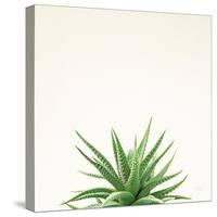 Succulent Simplicity I Neutral-Felicity Bradley-Stretched Canvas