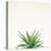 Succulent Simplicity I Neutral-Felicity Bradley-Stretched Canvas