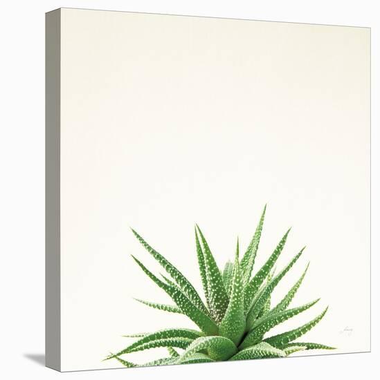 Succulent Simplicity I Neutral-Felicity Bradley-Stretched Canvas