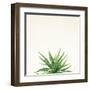 Succulent Simplicity I Neutral-Felicity Bradley-Framed Art Print